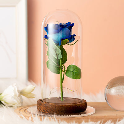 Eternal rose in a glass with LED