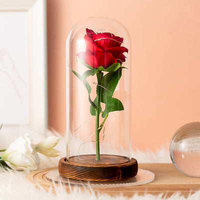 Ewige Rose im Glas mit LED