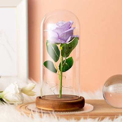 Eternal rose in a glass with LED